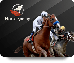 BK8 Live Dealer Hot: Your Gateway to Authentic Casino Action